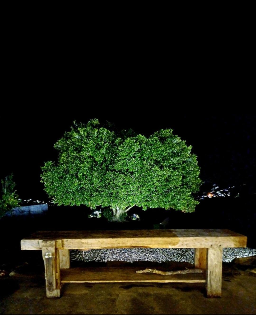 Exclusive Pena Rio Βίλα Ribeira de Pena Εξωτερικό φωτογραφία